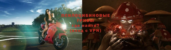 таблы Алзамай