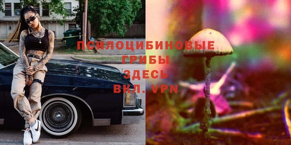 таблы Алзамай