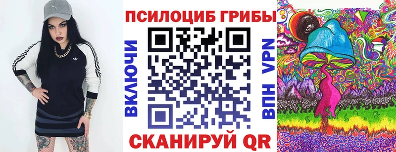 Галлюциногенные грибы Psilocybine cubensis  Злынка 